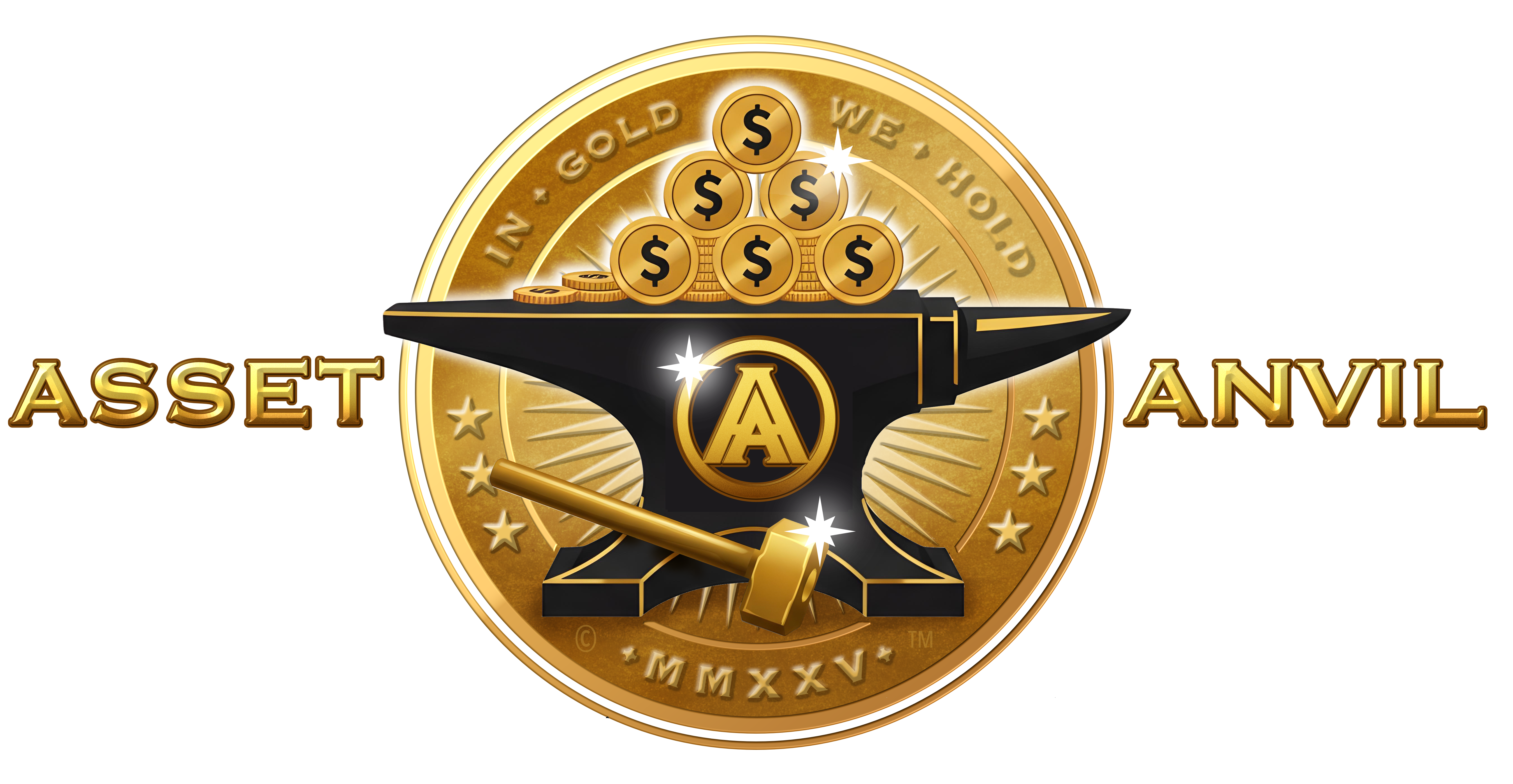 ASSET ANVIL